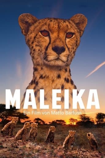 Movie poster for Maleika