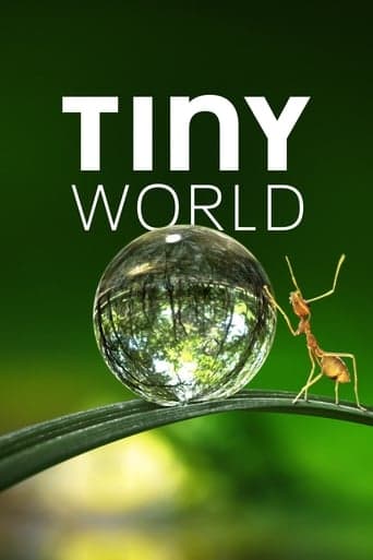 Movie poster for Tiny World