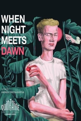 Movie poster for When Night Meets Dawn