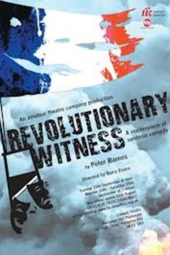 Movie poster for Revolutionary Witness