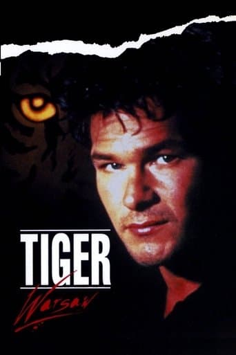 Movie poster for Tiger Warsaw