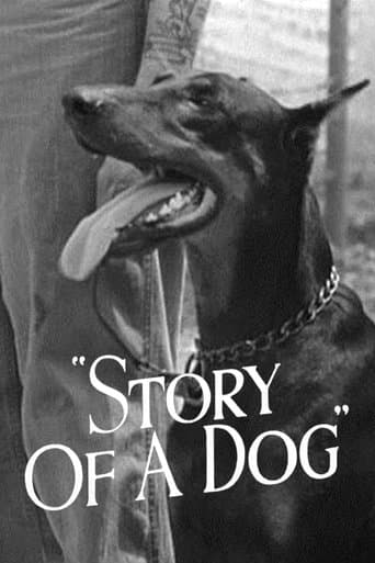 Movie poster for Story of a Dog