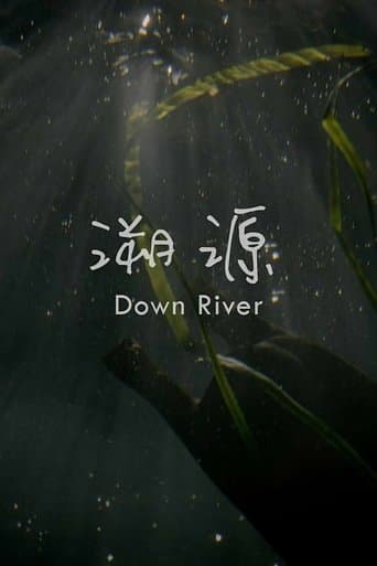 Movie poster for Down River