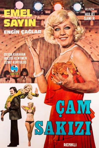 Movie poster for Çam Sakızı