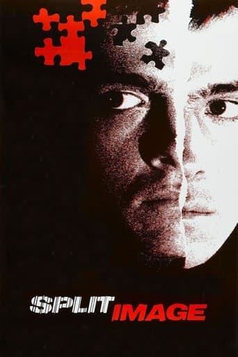 Movie poster for Split Image