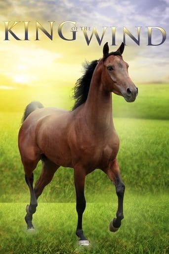 Movie poster for King of the Wind