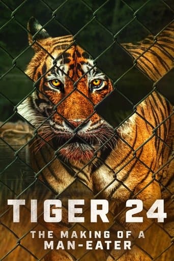 Movie poster for Tiger 24