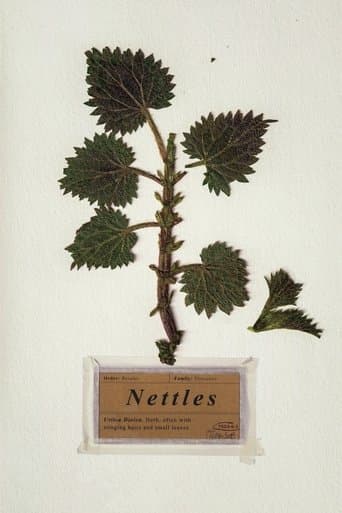 Movie poster for Nettles
