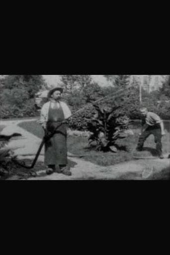 Movie poster for The Bad Boy and the Gardener