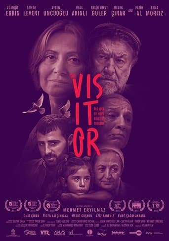 Movie poster for The Visitor