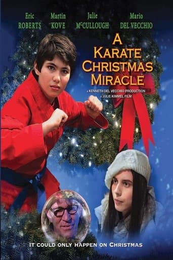 Movie poster for A Karate Christmas Miracle
