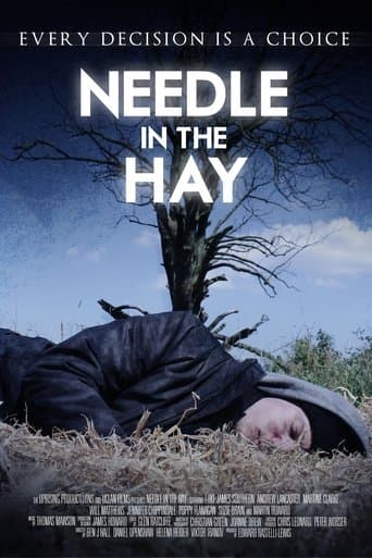 Movie poster for Needle in the Hay