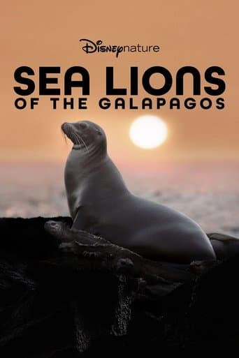 Movie poster for Sea Lions of the Galapagos
