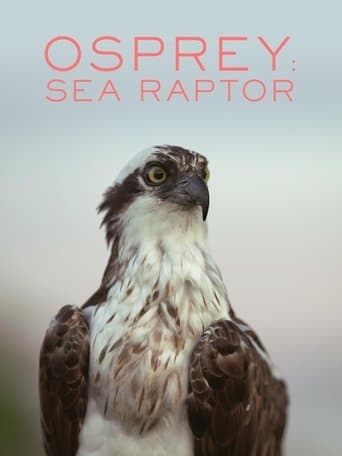 Movie poster for Osprey: Sea Raptor