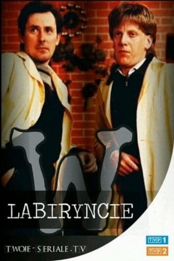 Movie poster for W labiryncie