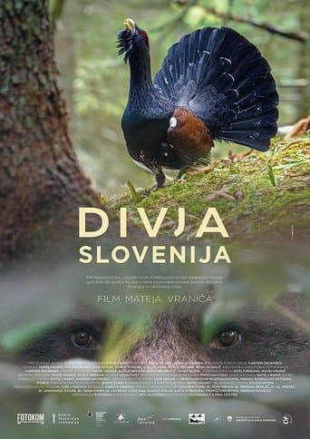 Movie poster for Wild Slovenia
