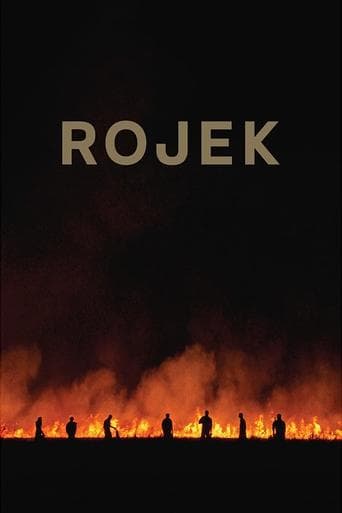Movie poster for Rojek