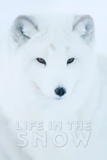 Movie poster for Life In The Snow