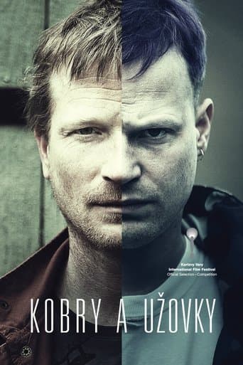 Movie poster for The Snake Brothers