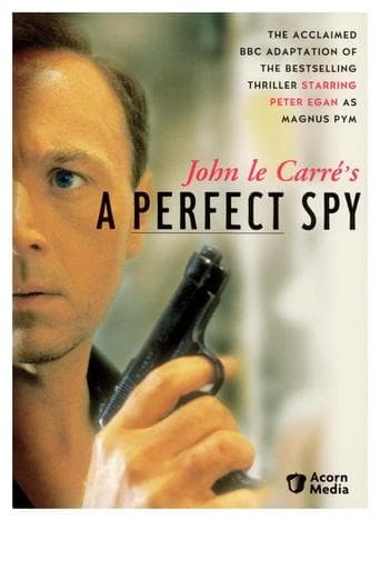 Movie poster for A Perfect Spy