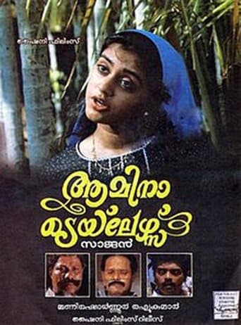 Movie poster for Amina Tailors