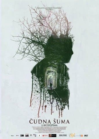 Movie poster for Strange Forest