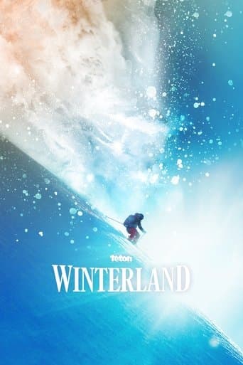 Movie poster for Winterland