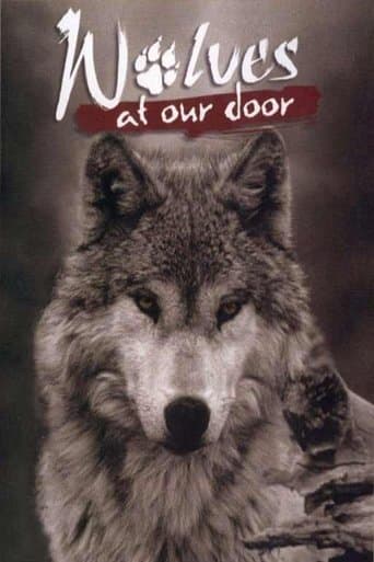 Movie poster for Wolves at Our Door