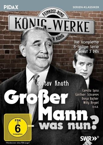 Movie poster for Großer Mann, was nun?