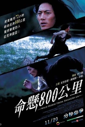 Movie poster for Wild Horse from Shangri-La