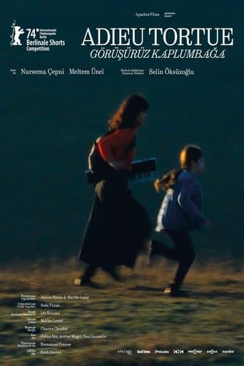 Movie poster for Bye Bye Turtle