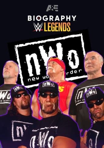 Movie poster for Biography: nWo