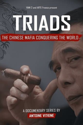 Movie poster for Triads: The Chinese Mafia Conquering the World