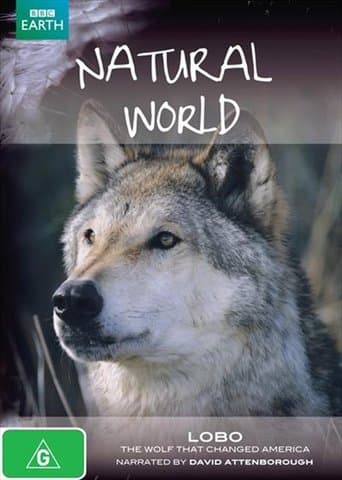 Movie poster for A Wolf Called Storm