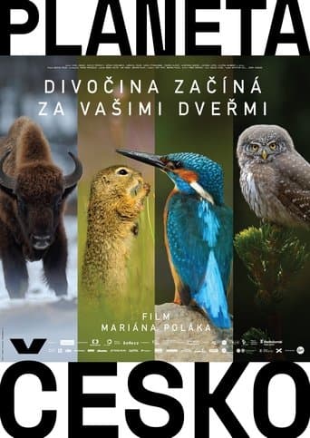 Movie poster for Wilder Than Wilderness