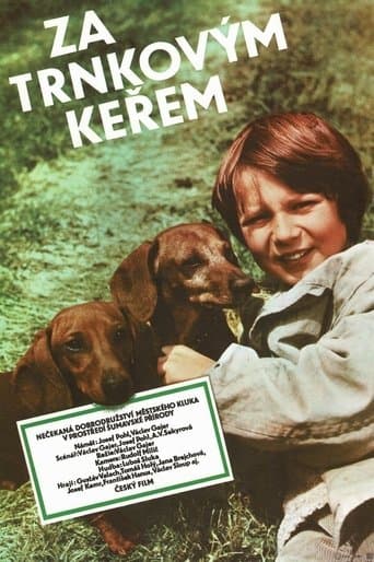 Movie poster for Behind the Sloe-Bush