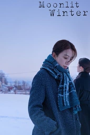 Movie poster for Moonlit Winter