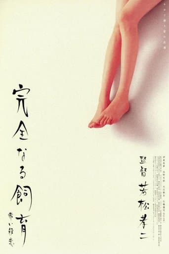 Movie poster for Perfect Education 6
