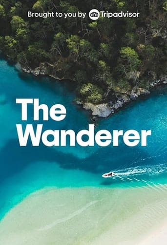 Movie poster for The Wanderer
