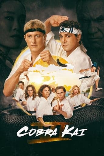 Movie poster for Cobra Kai