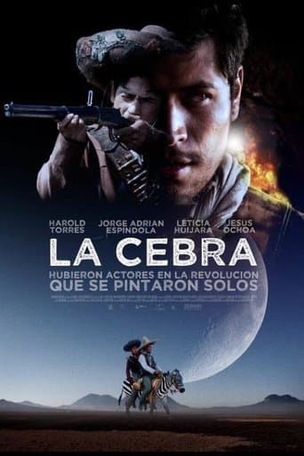Movie poster for The Zebra