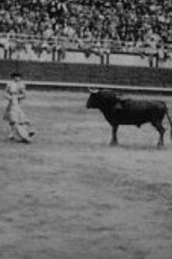 Movie poster for Corrida profesional Plaza Belmonte