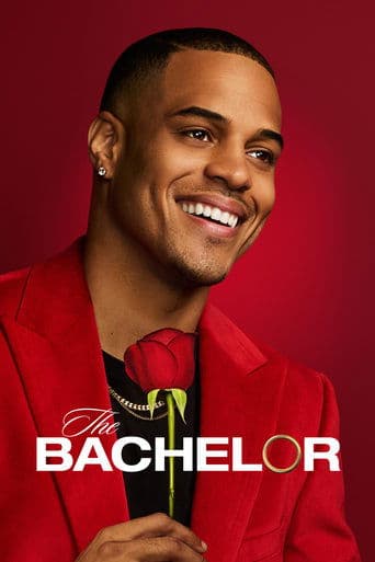 Movie poster for The Bachelor