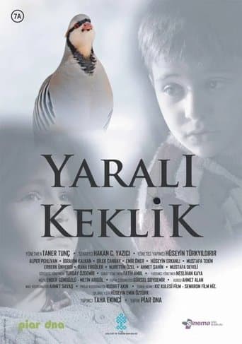 Movie poster for Yaralı Keklik