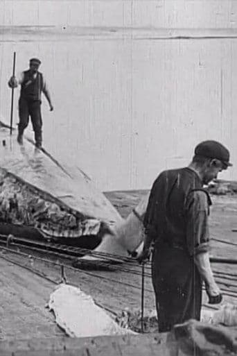 Movie poster for Whaling Afloat and Ashore