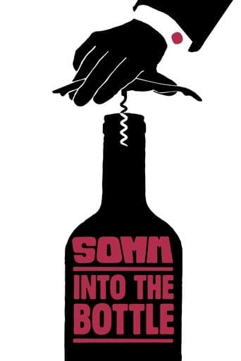 Movie poster for Somm: Into the Bottle