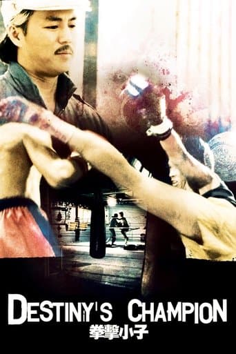 Movie poster for Destiny's Champion