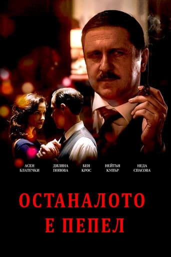Movie poster for The Rest Is Ashes