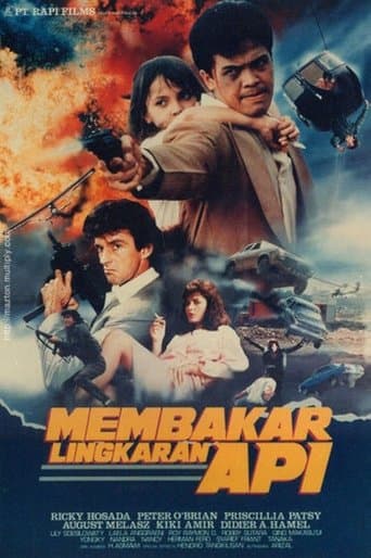Movie poster for Double Crosser