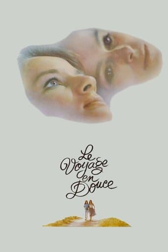 Movie poster for A Sweet Journey